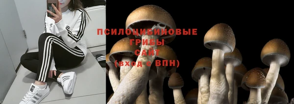 каннабис Бронницы