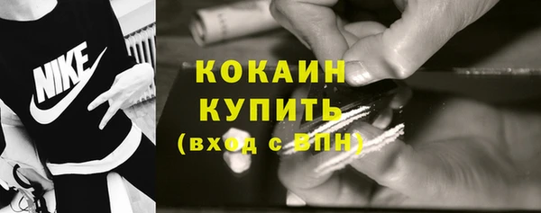 хмурый Верея