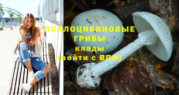 экстази Бородино
