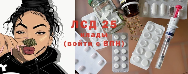 экстази Бородино