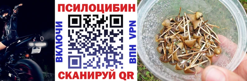 Купить где  Никольск  Псилоцибиновые грибы Psilocybe 